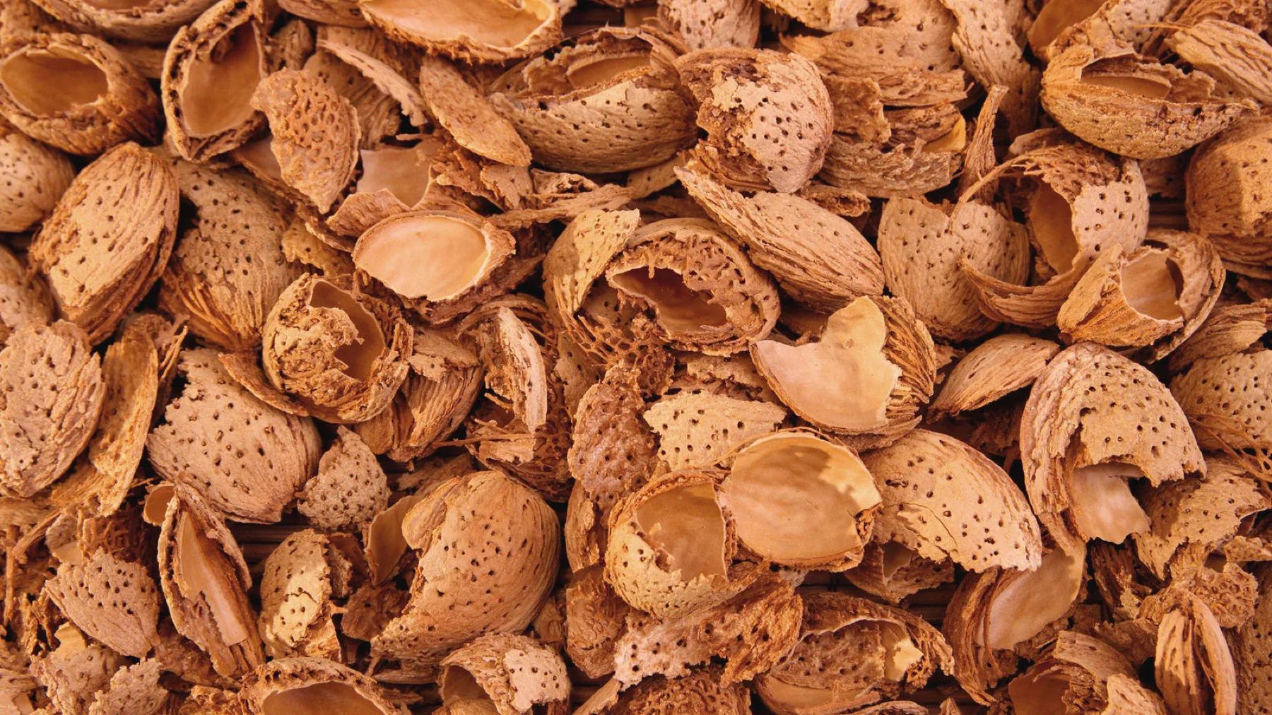 Cáscara de almendra troceada